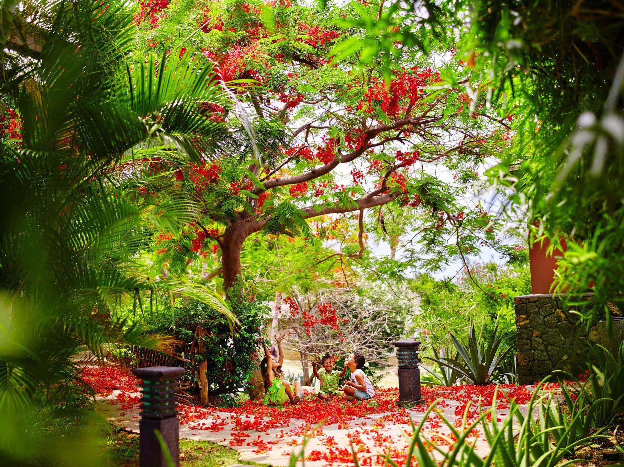 Iloha Seaview Hotel Saint-Leu Exterior photo